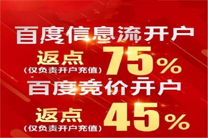某电商平台渠道开户返点策略的胜利